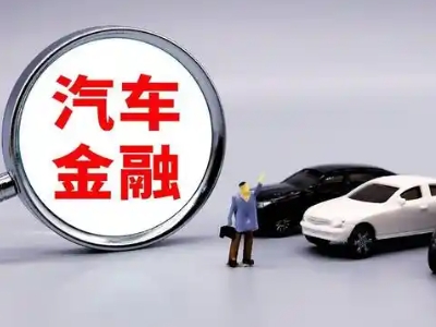 屯留押车贷款不是本人可以么?